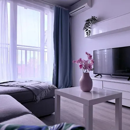 Simple And Modern Timisoara
