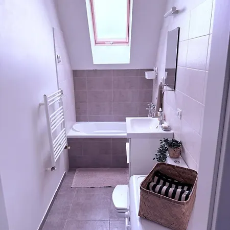 Simple And Modern Apartment Timisoara