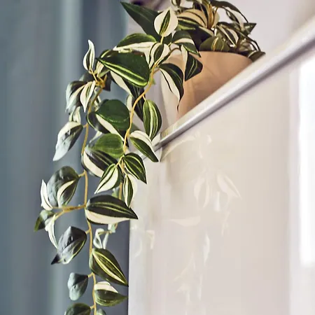 Simple And Modern, With Rating 10 Out Of 10, Wifi, Parking, Air Conditioning, Free Cancelation