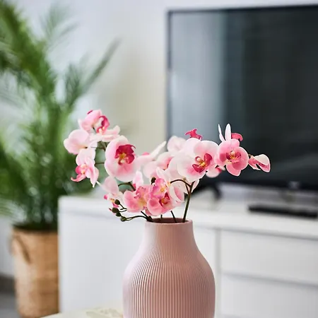 Simple And Modern, With Rating 10 Out Of 10, Wifi, Parking, Air Conditioning, Free Cancelation 公寓 蒂米什瓦拉