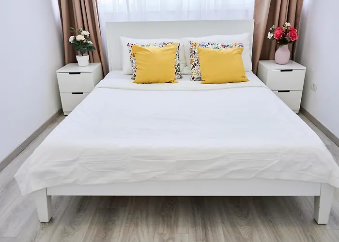 Self Check In 24h, Simple And Modern, 2 Rooms, Fast Wifi, Parking, Air Conditioning, Free Cancelation, Traveller Award * 티미쇼아라