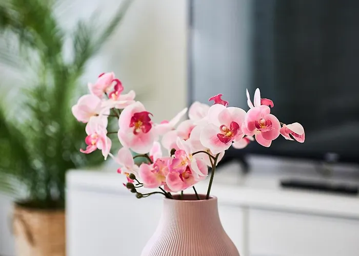 Self Check In 24h, Simple And Modern, 2 Rooms, Fast Wifi, Parking, Air Conditioning, Free Cancelation, Traveller Award 아파트 티미쇼아라