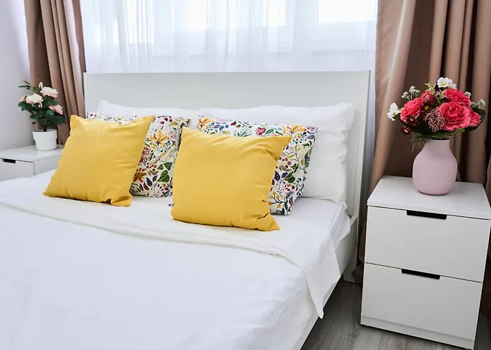 Self Check In 24h, Simple And Modern, 2 Rooms, Fast Wifi, Parking, Air Conditioning, Free Cancelation, Traveller Award * 티미쇼아라