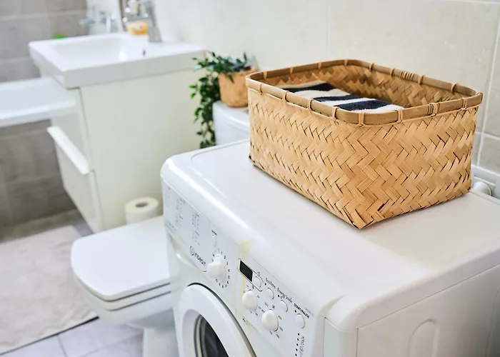 Self Check In 24h, Simple And Modern, 2 Rooms, Fast Wifi, Parking, Air Conditioning, Free Cancelation, Traveller Award 아파트 티미쇼아라