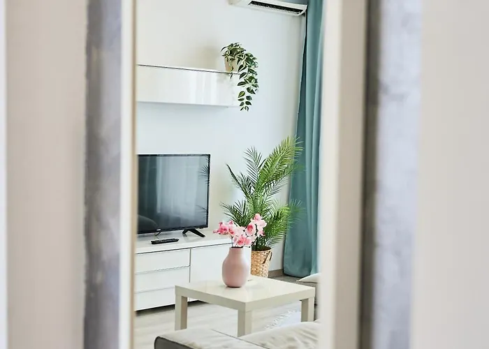 Self Check In 24h, Simple And Modern, 2 Rooms, Fast Wifi, Parking, Air Conditioning, Free Cancelation, Traveller Award 아파트 티미쇼아라